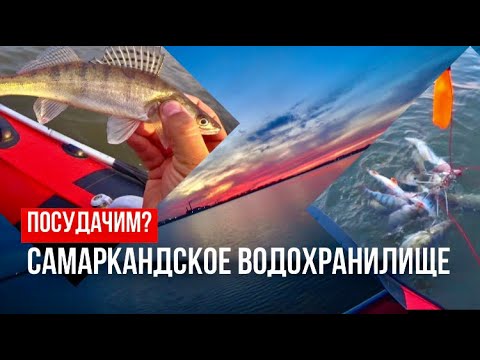 Видео: ПОСУДАЧИМ? РЫБАЛКА НА СУДАКА. САМАРКАНДСКОЕ ВОДОХРАНИЛИЩЕ!!! 2024г.