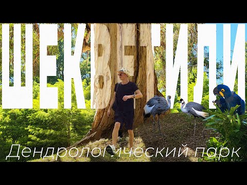 Видео: ШЕКВЕТИЛИ СЕГОДНЯ | Дендрологический Парк | Снято 1 День Назад | Часть 1 | 2025