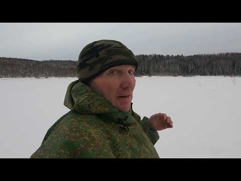 Видео: Пополняем запас живцов \ Подводная съёмка \ Такое редко где увидишь