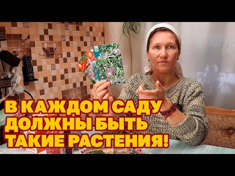 Видео: ЭТИ РАСТЕНИЯ ДЛЯ ЗДОРОВЬЯ НА КУХНЮ  ДЛЯ ЗАЩИТЫ ОТ ВРЕДИТЕЛЕЙ /ОГОРОД САД ЦВЕТНИК@obovsemsmarusya