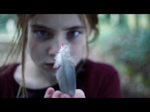 Видео: Девочка нашла в лесу перо с кровью, а ночью пришла его хозяйка и предложила игру, изменившую всё