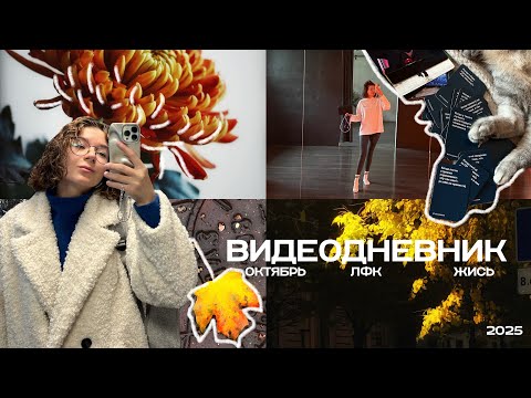 Видео: ВИДЕОДНЕВНИК #13: мой октябрь, легенда вернулась, ЛФК, жись