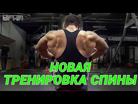 Видео: НОВАЯ ТРЕНИРОВКА СПИНЫ