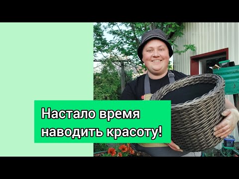 Видео: АЛИССУМ и ПЕТУНИЮ пора по бочкам!