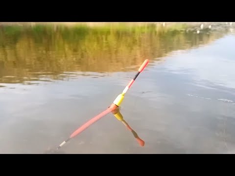 Видео: Ловля карася на поплавок в начале осени. Активный клёв карася на поплавочную снасть!