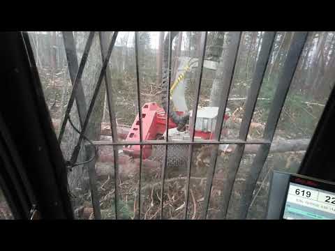 Видео: Харвестер Volvo. Logmax 7000 XT. Рожденный копать ещё и пилит