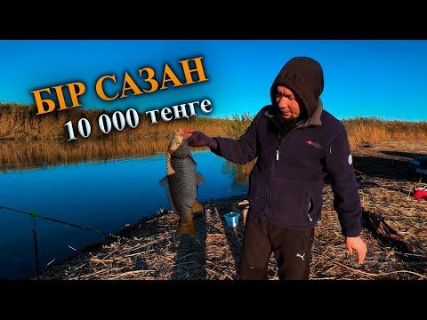 Видео: Шарон өзені | Бауырлармен жақсы демалыс болды | Cазан аулау.