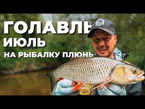 Видео: ГОЛАВЛЬ В ИЮЛЕ! НА ЧТО ЛУЧШЕ КЛЮЕТ? Ловля на НОВЫЕ и СТАРЫЕ ПРИМАНКИ.