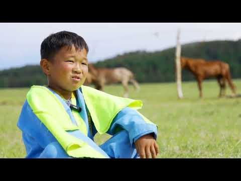 Видео: Хурдан морь