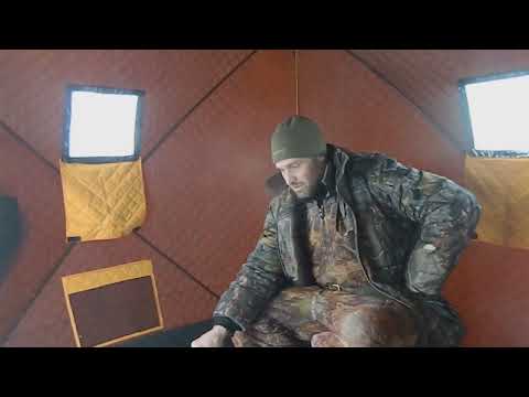 Видео: сиг Сухое море