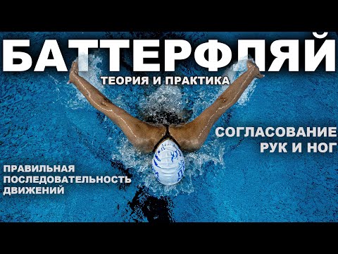 Видео: КАК НАУЧИТЬСЯ ПЛАВАТЬ БАТТЕРФЛЯЕМ | Плавание баттерфляем с нуля