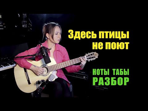 Видео: Нам нужна одна победа (Здесь птицы не поют) | На гитаре Разбор