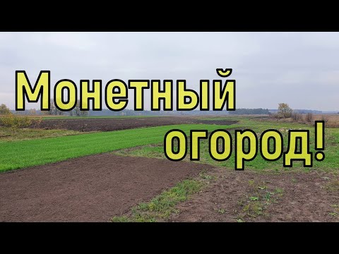 Видео: Урожай монет с огорода! Коп с NOKTA Anfibio Multi! Фильм 109