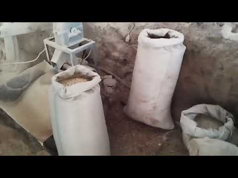 Видео: бұқа бордақлау қандаи жем берген дұрыс