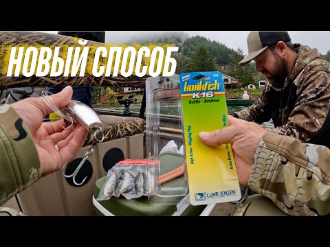 Видео: Секретный метод ловли лосося, который вы не знаете