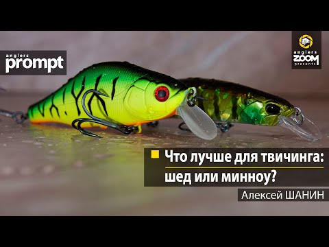 Видео: Что лучше для твичинга: шед или минноу? Алексей Шанин. Anglers Prompt