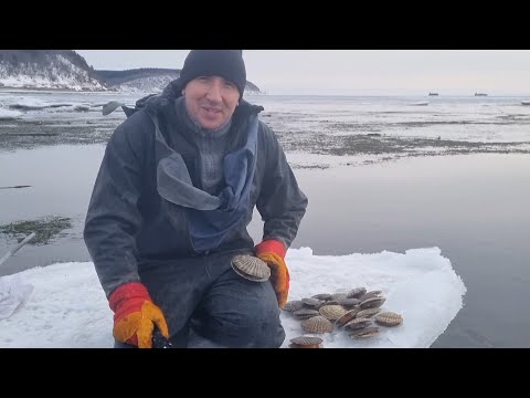 Видео: СБОР МОРСКОГО ГРЕБЕШКА!-ЖИЗНЬ НА ОСТРОВЕ САХАЛИН!-МАРТ 2025