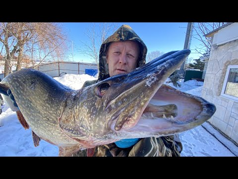 Видео: Как засолить красную рыбу и икру 🐟 бутерброд с икрой🔴филе красной рыбы