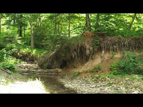 Видео: Трускавець 2022: річка Слониця в Трускавці, джунглі, водоспад