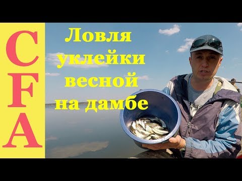 Видео: Ловля уклейки весной на дамбе водохранилища. Рыбалка 2019