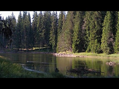 Видео: къмпинг и риболов на язовир широка поляна,  fishing on the most beautiful dam in Bulgaria