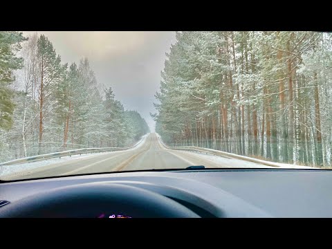 Видео: Дорога из Ирбита до Камышлова. Второй удивил 👍🏻