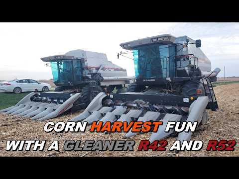 Видео: Уборка урожая в стиле 1990-х с комбайнами R42 и R52 Gleaner
