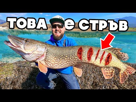 Видео: ОГРОМНИ ЩУКИ се САМОИЗЯЖДАТ!!! 2 ЩУКИ по 5 КИЛА за 2 минути!