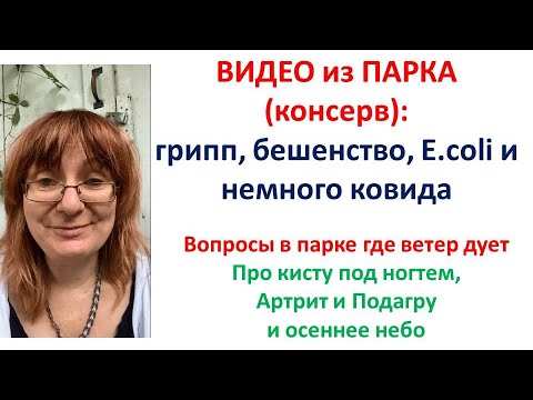 Видео: Из мира вирусов в осеннем парке