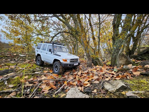 Видео: Разговорное видео по вашей просьбе. Rgt ex86190 на бюджетной бк системе