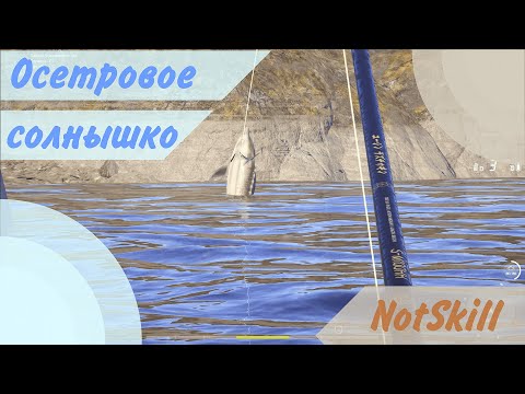 Видео: Русская рыбалка 4. Исполнение "Солнышка" и других трюков by осётр балтийский 99.585.