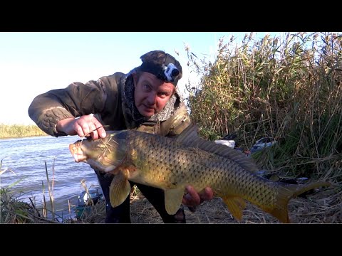 Видео: РЫБАЛКА НА РЕКЕ ГАНДУРИНО - ОТЛИЧНЫЙ КЛЁВ!!!