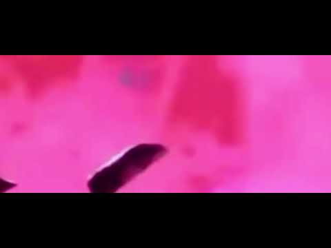 Видео: Лорд Шень против смерти