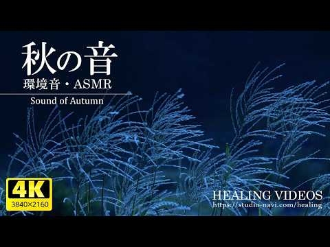 Видео: [Расслабляющие / Звуки окружающей среды / ASMR] Японская осень (Звуки осени) Ночные сверчки