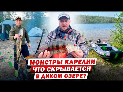 Видео: УДИВИТЕЛЬНАЯ РЫБАЛКА В СЕВЕРНОЙ КАРЕЛИИ / Загадка трофейных окуней и щук / Рыбалка на хищника