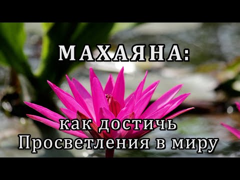 Видео: Махаяна: как достичь Просветления в миру