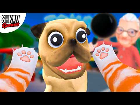 Видео: КОТ СБЕЖАЛ ОТ БАБКИ В ГОРОД! Cat in town VR!