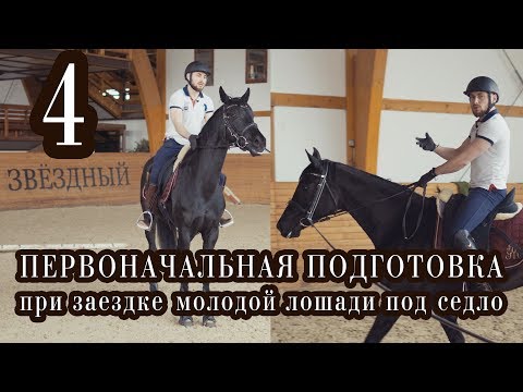 Видео: Первоначальная подготовка при заездке молодой лошади под седло. Продолжение. Часть 4