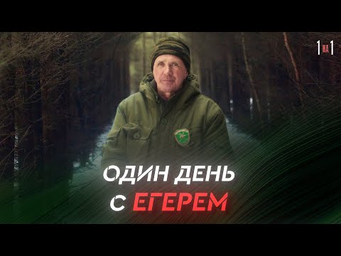 Видео: Лесной хранитель // Один день из жизни егеря