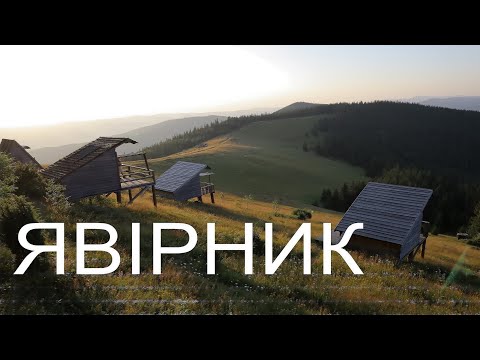 Видео: Явірник - найінстаграмніша полонина Карпат. Похід через гори Явірник-Горган, Круглий Явірник