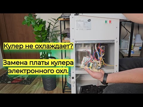Видео: Кулер для воды не охлаждает: Замена платы управления кулера с электронным охлаждением. Ремонт самому