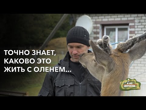 Видео: Живёт и работает на хуторе с оленем «Я из деревни». хутор Козлики.