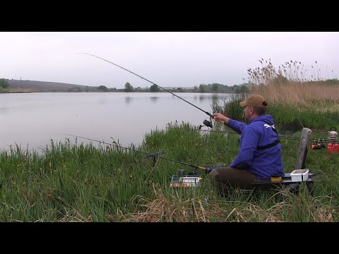 Видео: РЫБАЛКА МЕЧТА ловля карася на НАРОДНЫЙ ФЛЭТ МЕТОД ФИДЕР рыбалка с ночовкой flat method feeder F1