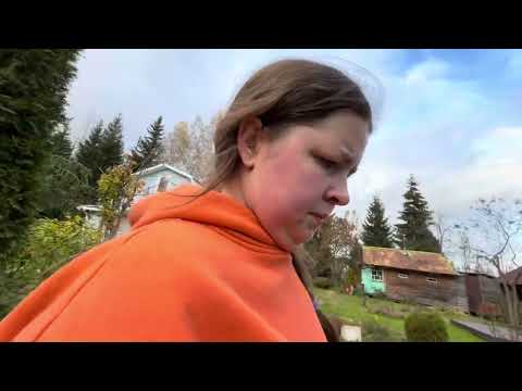 Видео: Отзыв и обзор на Садовый пылесос Greenworks GD40BVII