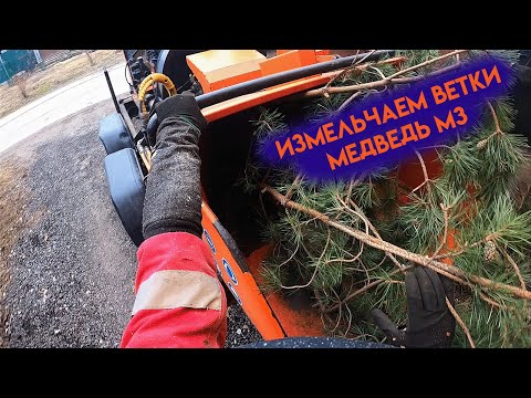 Видео: Измельчение веток от 1го лица / Медведь М3 / ASMR