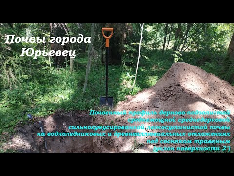 Видео: Почвы города Юрьевец (Дерново-подзолистая почва с языковатым переходом)