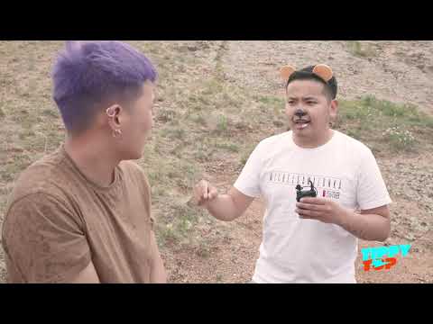 Видео: Амьтдын шүүх 🐻🐺🐤