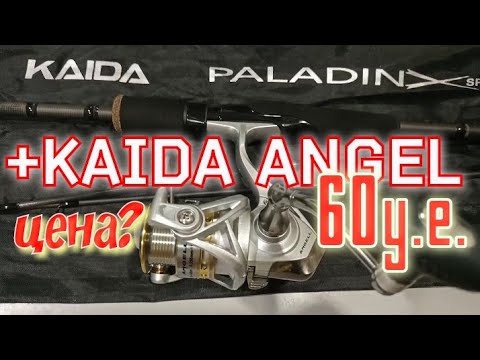 Видео: KAIDA Paladin+KAIDA Angel.Убойный Комплект.Спиннинг 2 Хлыста+ Годная Катушка.Цена Вопроса 60 Баксов.