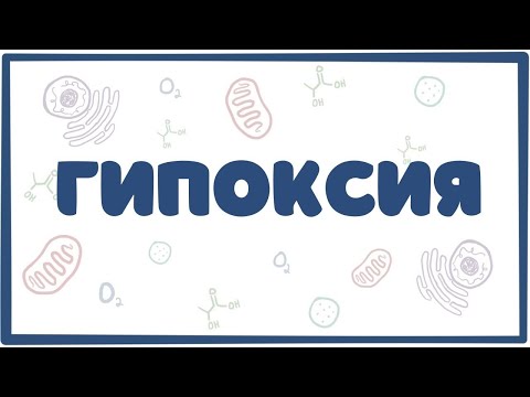 Видео: Гипоксия - патофизиология (лекция)