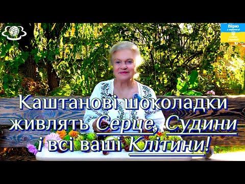 Видео: Каштанові шоколадки живлять Серце, Судини і всі  ваші Клітини!